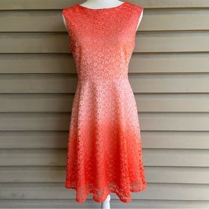 •Sandra Darren• Apricot Ombre Lace A-Line Dress - Size 6